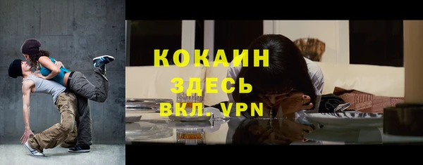 ALPHA PVP Каменка