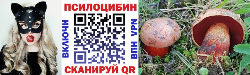 Галлюциногенные грибы MAGIC MUSHROOMS  Купить где  Завитинск 